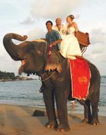 Full Day Coral Island