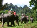 Full Day Elephant Safari & Rafting